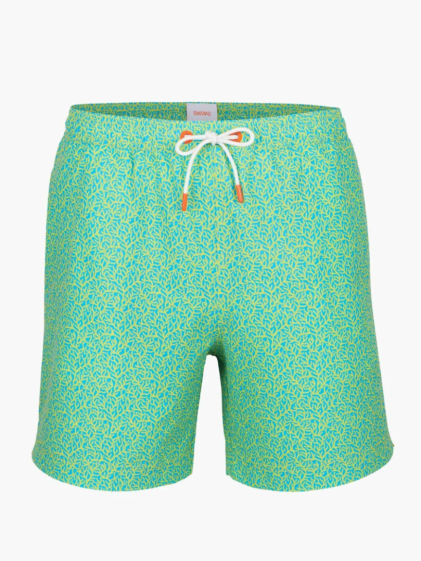 Swims Sol Swim Trunk in Citron