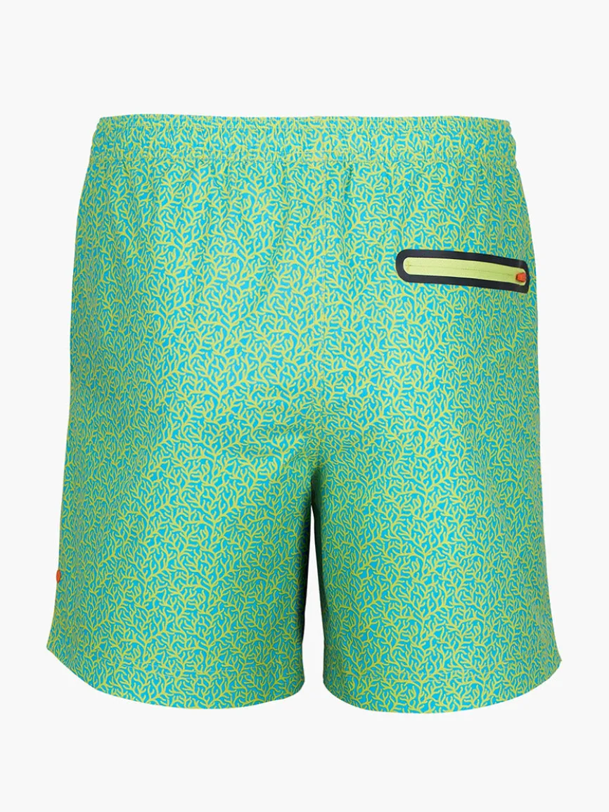 Swims Sol Swim Trunk in Citron